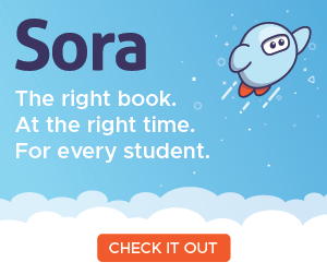 Sora App infographic