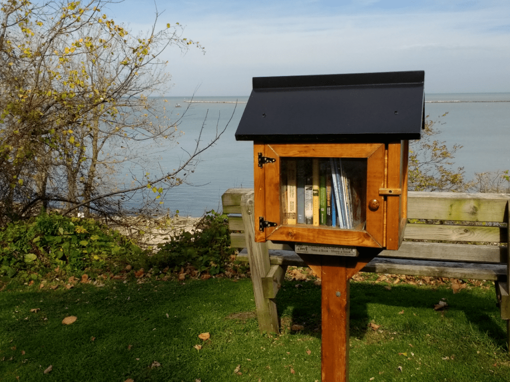 Little Free library box
